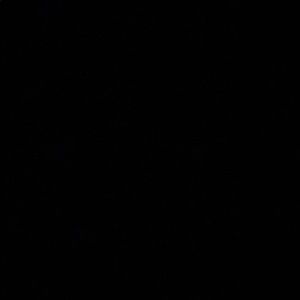 Meet your Posher, Jerisha